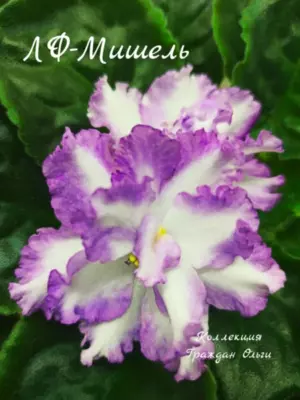 Лф-Мишель