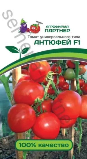 Томат Антюфей F1 0,1г откр.гр,крупные плоды Семена Партнер