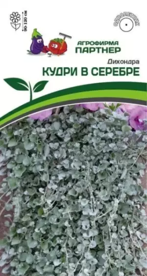 Дихондра серебристая КУДРИ В СЕРЕБРЕ (4шт в амп) Семена Партнер